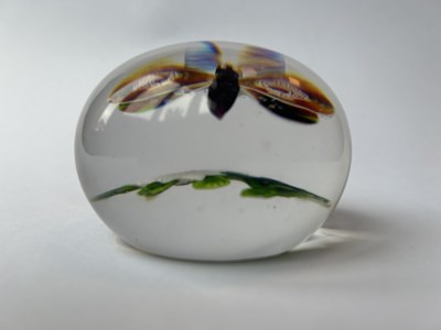 Lot 490 - An antique Baccarat glass paperweight