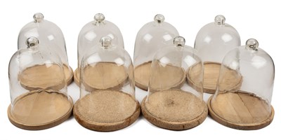 Lot 1485 - A collection of eight bell jars