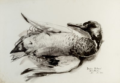 Lot 238 - Sven Berlin (1911-1999) Drake Mallard, 1955...