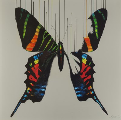 Lot 185 - Louise Mcnaught (b.1984) Butterfly signed and...