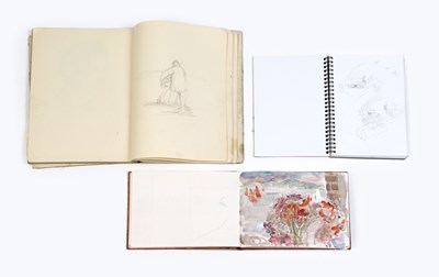 Lot 89 - Jane Dowling (1925-2023) Three sketchbooks to...