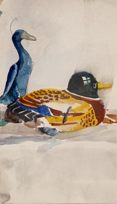 Lot 191 - David Remfry (b.1942) Duck watercolour on...
