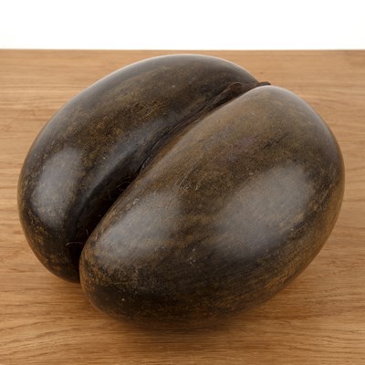 Lot 320 - Coco-de-mer (lodoicea maldivica) Seychelles,...