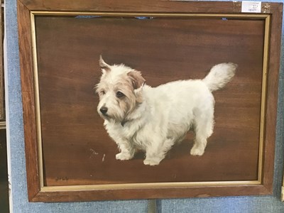 Lot 255 - Frances Mabel Hollams (1877-1963) 'Jill',...