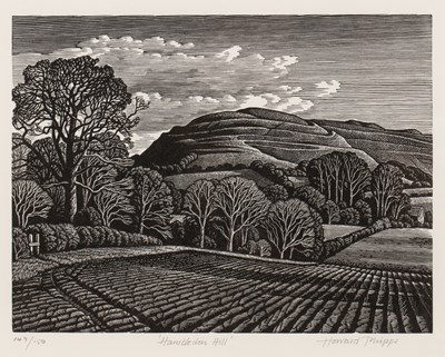 Lot 30 - Howard Phipps (b. 1954) 'Hambledon Hill',...