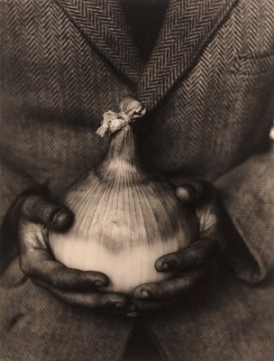 Lot 399 - Tessa Traeger (b.1938) Mammoth Improved Onion,...