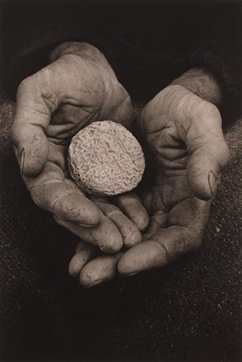 Lot 398 - Tessa Traeger (b.1938) A Picodon Cheese,...