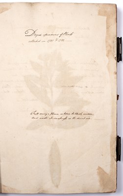 Lot 699 - An 18th century Herbarium - A collection of...