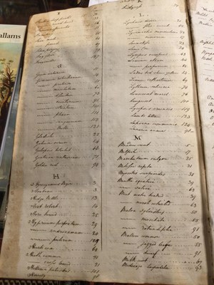 Lot 699 - An 18th century Herbarium - A collection of...