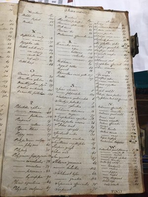 Lot 699 - An 18th century Herbarium - A collection of...