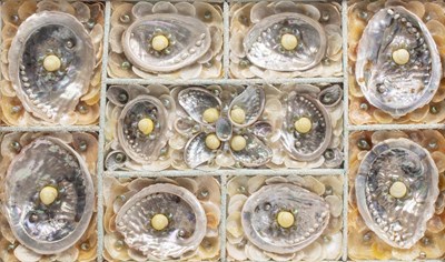 Lot 395 - A seashell display mounted in a galzed pine...