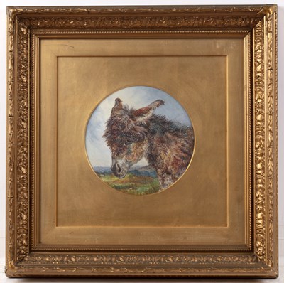 Lot 189 - W Huggins (1820-1884) Study of a donkey's head,...