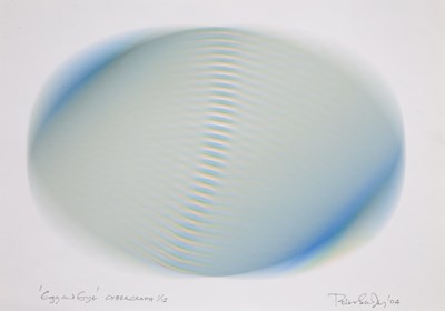 Lot 203 - Peter Sedgley (b.1930) Egg and Eye, 2004 1/12,...