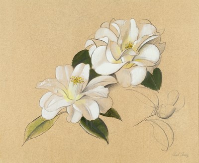 Lot 161 - Paul Osborne Jones (1921-1997) Two Magnolia...
