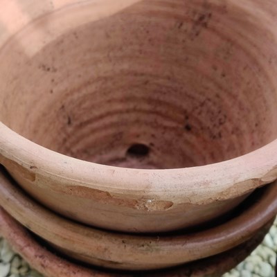 Lot 1502 - A collection of fourteen similar thrown terracotta pots