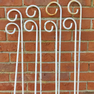 Lot 1464 - A set of eight white-painted iron plant supports