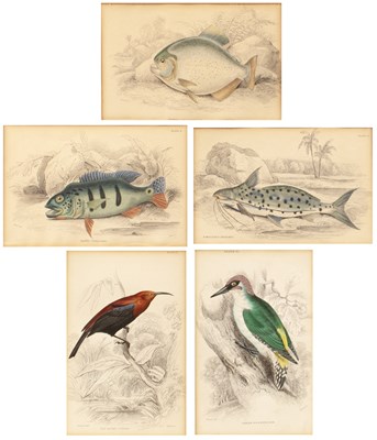 Lot 145 - William Home Lizars (Scottish, 1788-1859)...