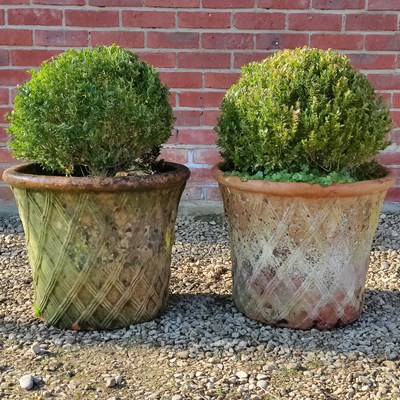 Lot 1564 - A pair of terracotta pots