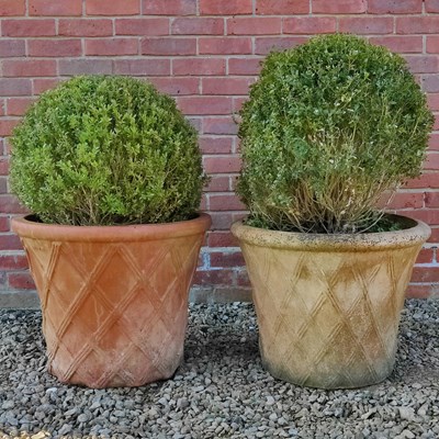 Lot 1483 - Two terracotta pots