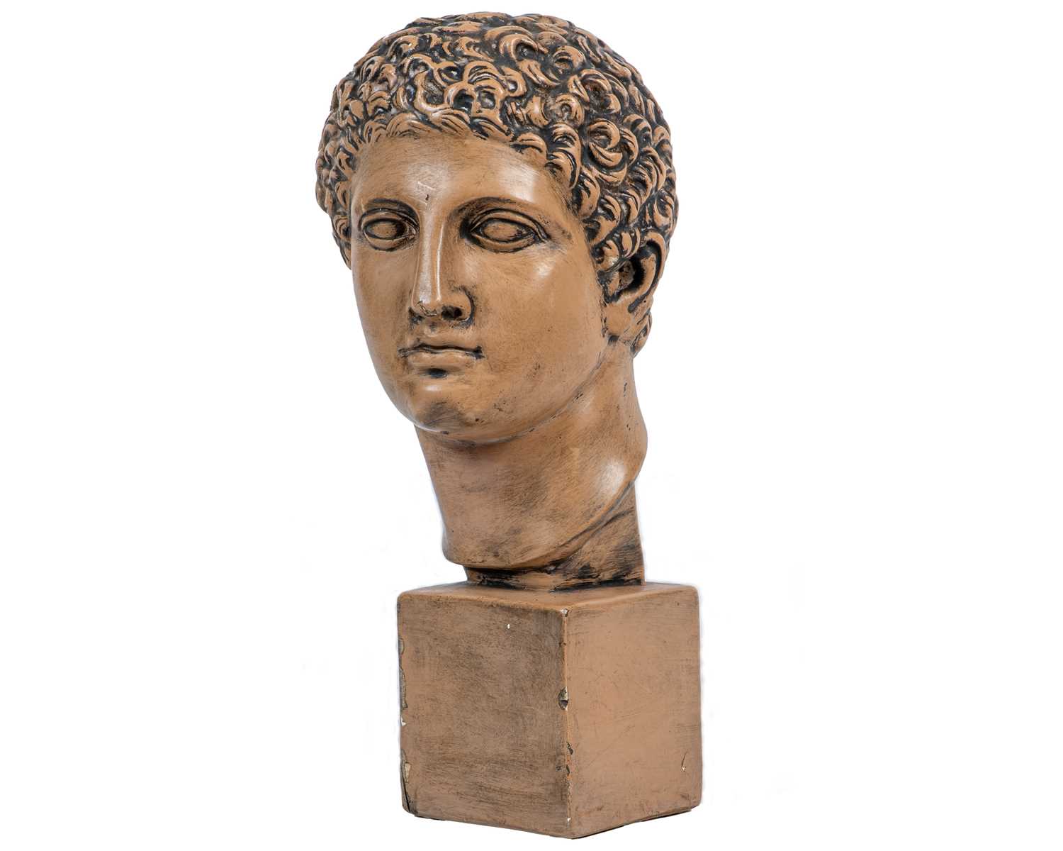 Lot 271 - A cast plaster bust of an athlete, after the antique