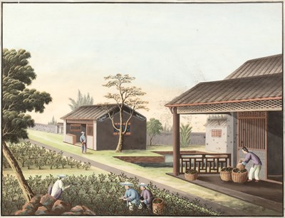 Lot 263 - Two export paintings Chinese, circa 1800-1820...
