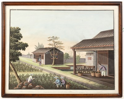 Lot 263 - Two export paintings Chinese, circa 1800-1820...