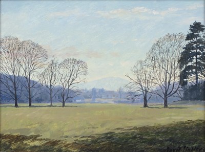 Lot 492 - David Lindley (b.1930) Parkland, signed, oil...