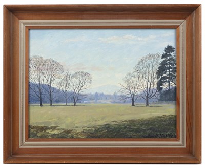 Lot 492 - David Lindley (b.1930) Parkland, signed, oil...