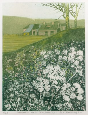 Lot 53 - Sue Kavanagh (20th/21st century) 'Campion and...