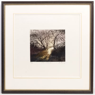 Lot 44 - Jo Barry (b.1949) 'Tread Softly', pencil...