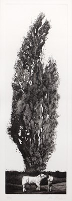 Lot 45 - Alan Parker (b.1965) 'Lombardy Poplar,...