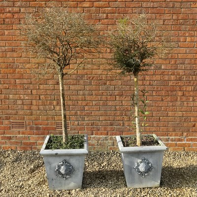 Lot 1512 - Two zinc planters