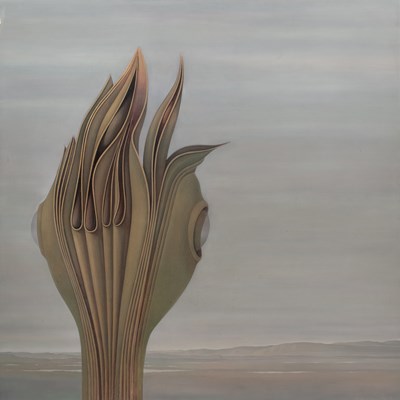 Lot 217 - Bert Kitchen (b.1940) Plant, 1972  oil on...