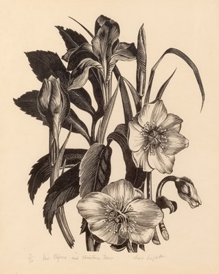 Lot 105 - Clare Leighton (1901-1989) Iris Stylosa and...