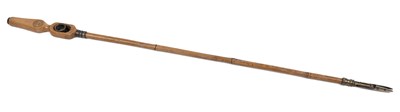 Lot 1063 - A French Botanists walking cane by Cueilleuse Dubois circa 1900