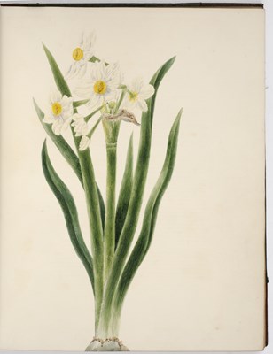 Lot 440 - SMITH (HENRY ECROYD) RELIQUIAE ISURIANAE, The...