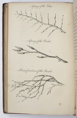 Lot 450 - GILPIN (WILLIAM) Remarks on Forest Scenery and...
