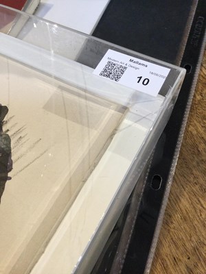 Lot 10 - Richard Smith (1931-2016) Everglum, 1969...