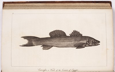 Lot 592 - SONNINI (C.S.) HUNTER ( HENRY) Trans. 'Travels...