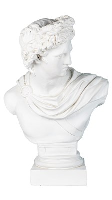 Lot 491 - A plaster bust after Apollo Belvedere