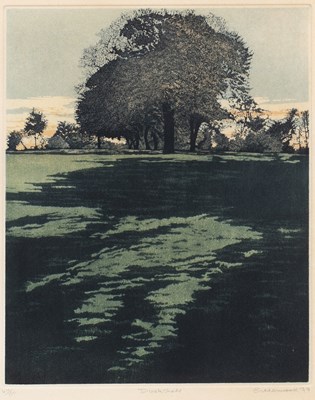 Lot 135 - Phil Greenwood (b.1943) Dusk Shade, 1977...