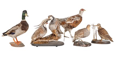 Lot 1041 - A group of six farmland taxidermy birds