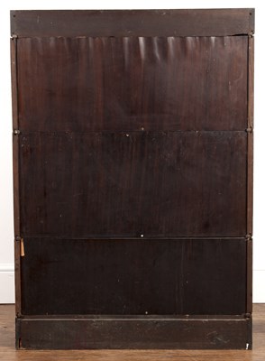 Lot 23 - Globe Wernicke type Late 19th/early 20th...