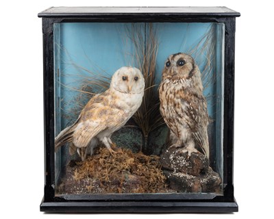 Lot 1086 - A pair of Victorian preserved owls