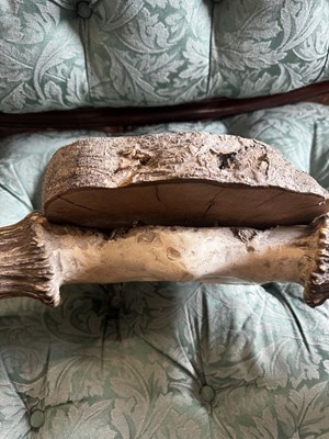Lot 1064 - A good sized pair of moose antlers