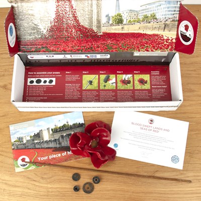 Lot 289 - Paul Cummins (b.1977) Boxed ceramic poppy,...