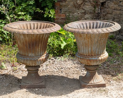 Lot 1527 - A pair of French cast iron urns