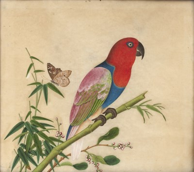 Lot Two fine ornithological watercolours Chinese,...