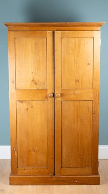 Lot 171 - A two-door pine cupboard
