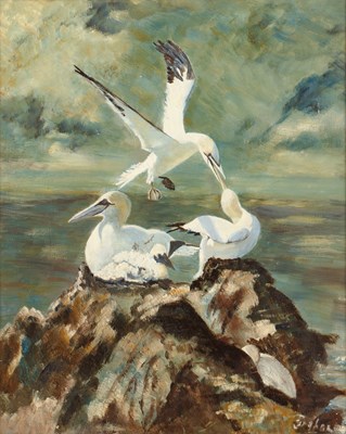 Lot 268 - English School (20th century) Gannets on a...